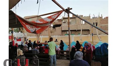 نساء قنا يتصدرون المشهد في الساعات الأخيرة لإعادة انتخابات الشيوخ | صور