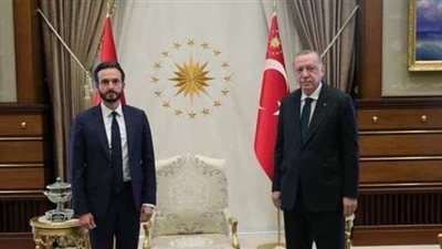 عقب زيارته لأنقرة.. مطالبات بإقالة رئيس المحكمة الأوروبية لحقوق الإنسان