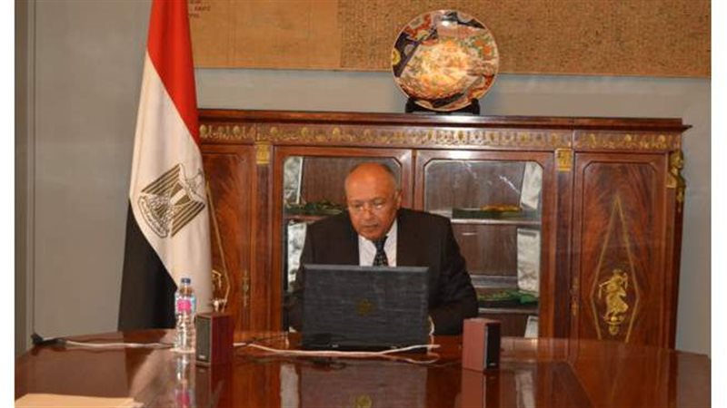 سامح شكرى وزير الخارجية