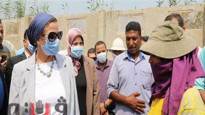وزيرة البيئة بالشرقية: سعيدة بدخول السيدات مجال تجميع قش الأرز | صور