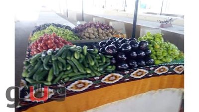 افتتاح سوق السلام في الإسماعيلية