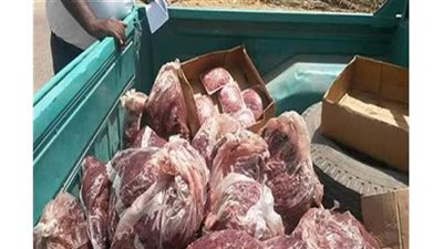 بيطري الوادي الجديد يضبط لحوما ومجمدات فاسدة