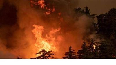 بعد مقتل 10 أشخاص.. حرائق كاليفورنيا الأكثر دموية في 2020