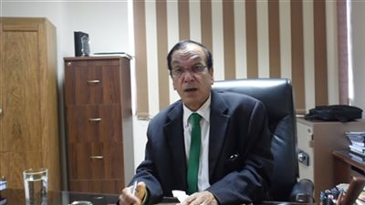 عبد الحميد: خفض الضرائب على المستثمر الأجنبي لا يضر بالاقتصاد