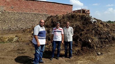 تحويل 5 آلاف طن قش أرز لسماد وأعلاف بالدقهلية