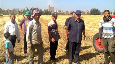 «زراعة الدقهلية»: جمعنا 77.6 ألف طن قش أرز