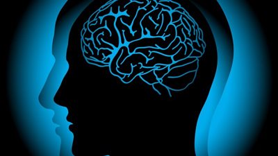 علماء بجامعة أكسفورد يحددون المركز المسئول عن صفة الكرم في المخ