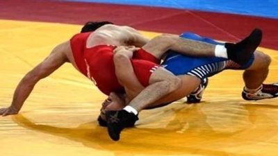 القائمة النهائية للمرشحين في انتخابات «المصارعة»