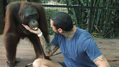 أحمد الفيشاوي يلعب مع القرود في إندونيسيا (صور)