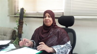 تخصيص 5 قطع أراض لمشروعات خدمية بقرى صنعاء في الوادي الجديد