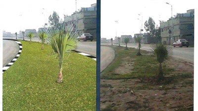 طرح مناقصة لتطوير مدخل مدينة رأس البر في دمياط