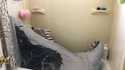 بالصور.. أغرب مقالب زملاء المسكن الواحد