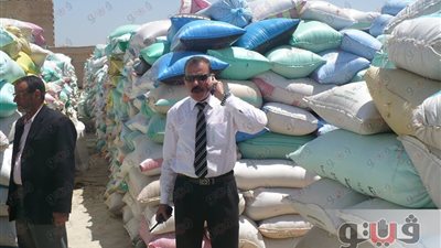توريد 173 ألف طن قمح محلي لشون وصوامع كفرالشيخ