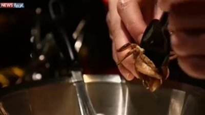 بالفيديو.. أكل حلويات الحشرات آخر تقاليع عيد الحب في اليابان