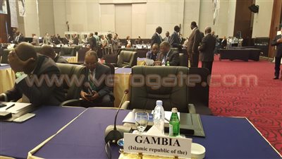 «الزراعة الأفريقية»: التوحد لمواجهة التغيرات المناخية «ضرورة»