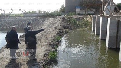 بالصور.. قناة البط تنقذ 9 آلاف فدان مزارع سمكية بدمياط.. «تقرير»