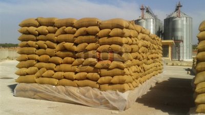 تفريغ شحنة قمح تزن ٥٨ ألف طن قادمة من رومانيا بميناء الإسكندرية