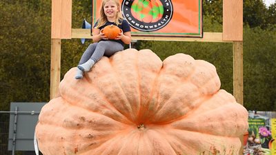 بالصور.. أكبر ثمرة «قرع» في العالم