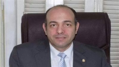 حزب الحرية: مصر أفحمت الاتحاد الأوروبي بسبب انتهاكات حقوق الإنسان