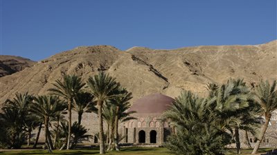 أحمد سعد: تنمية الأصول غير المستغلة في سيناء من خلال الشركة الوطنية