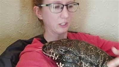 بالفيديو والصور.. امرأة تتبنى سحلية ضخمة تعانى من القلق