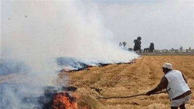 «البيئة» تستعين بالأوقاف لمواجهة السحابة السوداء وسط الدلتا