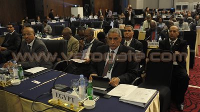 وزيرة البيئة بأنجولا: أصدرنا مرسوما يحظر بيع «العاج» في بلادنا