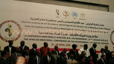 «التجارة الدولية للحيوانات البرية»: قتل 20 ألف فيل سنويًا