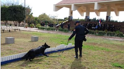 تدريب عدد من الضباط على الاستعانة بكلاب المفرقعات في أكاديمية الشرطة