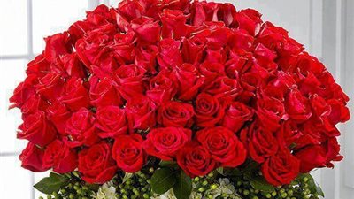 300 مليون زهرة تباع في عيد الحب بهولندا