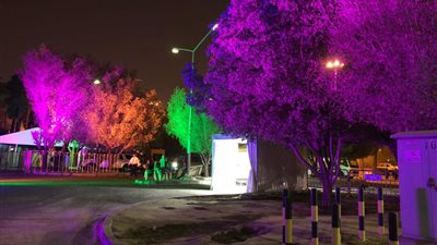 السفارة المصرية في الكويت تتزين لاستقبال الانتخابات الرئاسية (فيديو وصور)