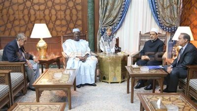 «الطيب» يبدي استعداد الأزهر لتدريب أئمة مالي