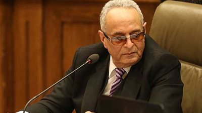 «بهاء أبو شقة»: أؤيد بقاء شريف إسماعيل رئيسا للحكومة