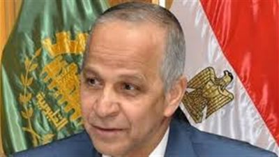 150 مليون جنيه تكلفة تطوير منظومة الكهرباء في طوخ