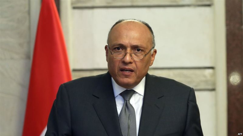 السفير سامح شكري