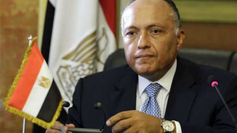 سامح شكري وزير الخارجية