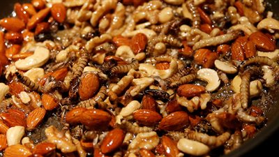 حلوى الديدان والحشرات في عيد الحب