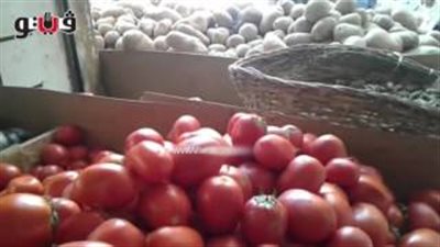 بالفيديو.. الطماطم تسجل 5 جنيهات اليوم.. والليمون بـ13 جنيها