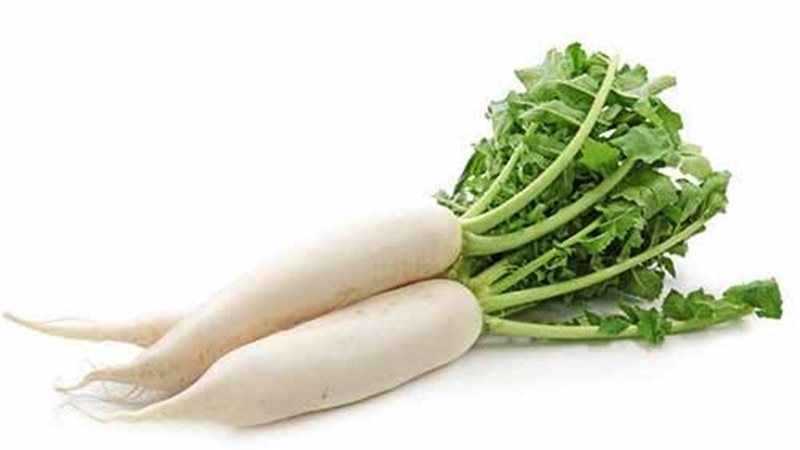 الفجل 