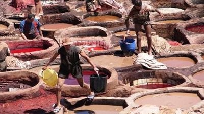 تفاصيل بلاغ «عمومية دباغة الجلود» للنائب العام في أزمة الروبيكي