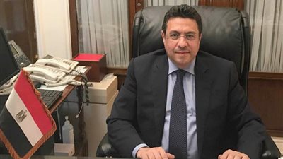 لحظة إدلاء السفير المصري بالكويت بصوته في الانتخابات الرئاسية (فيديو)