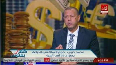 بالفيديو..غرفة دباغة الجلود: نصدر 80% من إنتاجنا سنويا