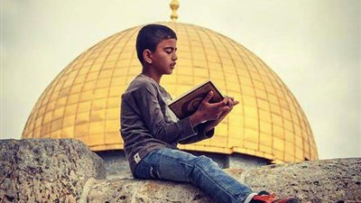 «ثقافة أرض كنعان».. أرقام وإحصائيات نسب القراءة في فلسطين (1)