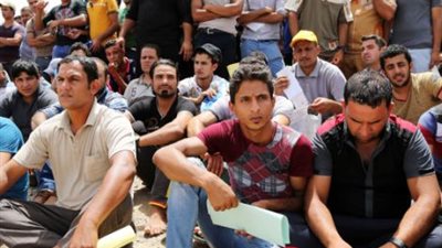 بالفيديو والصور.. 