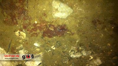 ننشر أسماء المصابين في حادث الاعتداء على كنيسة أبوسيفين ببورسعيد