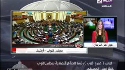 بالفيديو.. نائب: عدم عرض اتفاقية صندوق النقد على البرلمان مخالفة دستورية