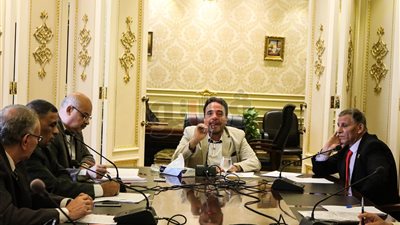 اتجاه داخل «قوى عاملة البرلمان» لتعديل قانون الخدمة المدنية