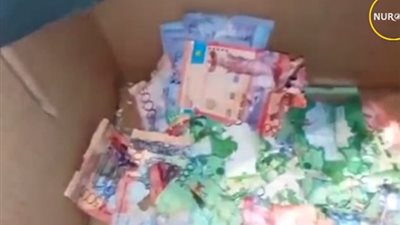 اعتقال فئران التهموا أموالا داخل بنك (فيديو وصور)