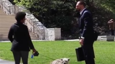 رد فعل أشخاص عرض عليهم 100 ألف دولار لشراء كلابهم (فيديو)