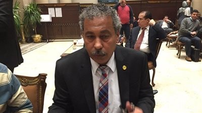 برلماني: أؤيد اتفاقية صندوق النقد لأنها في صالح مصر